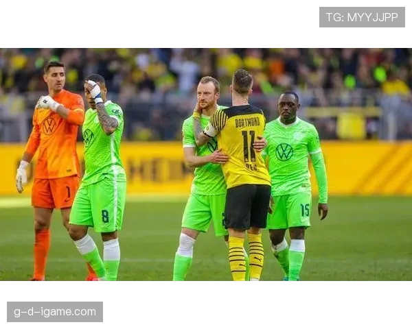 狼堡锋线表现 狼堡锋线表现