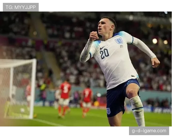 瑞士国家队中立军团 瑞士国家队中立军团