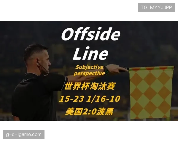 美国队十人作战仍胜波黑：世界杯淘汰赛再进一步